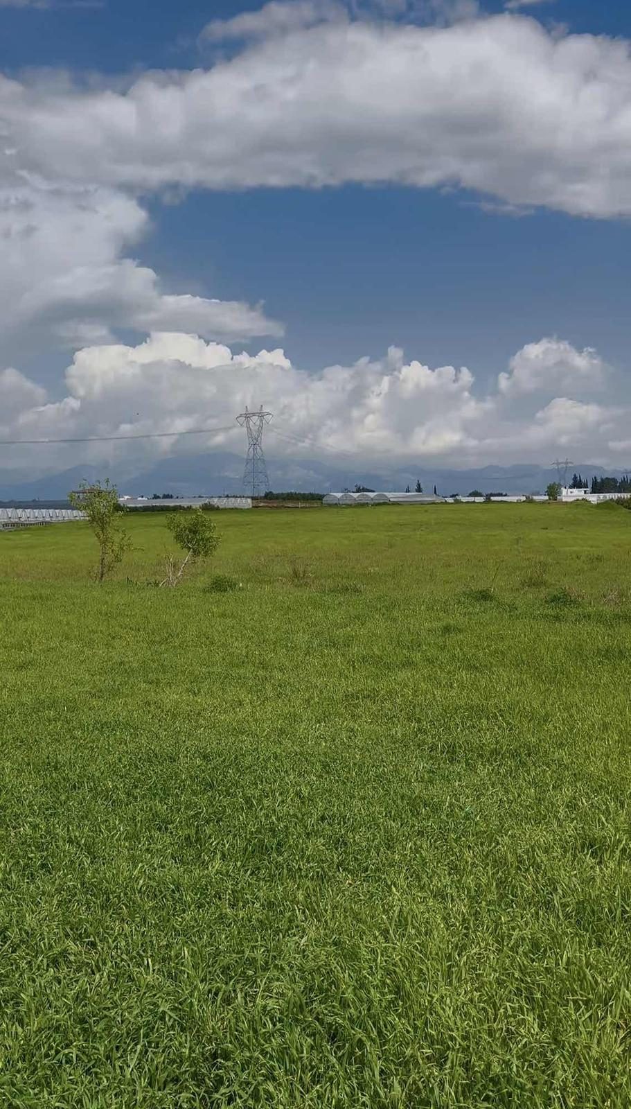 Kurşunluda 18.669 M² Satılık Tarım Arazisi
