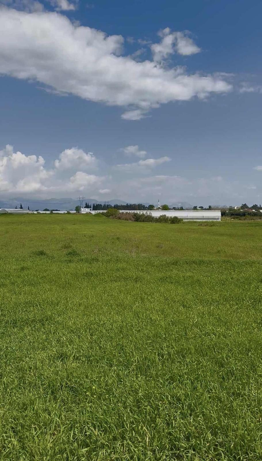 Aksu Kurşunluda 23.756 M² Dev Tarla Fırsatı