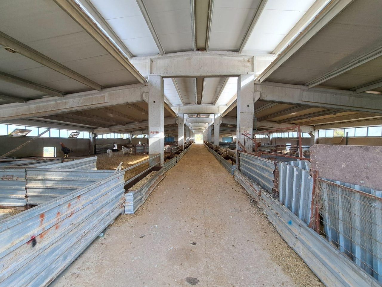 Ruhsatlı Ve Yapı Kullanım İzinli 1.500m² Hayvancılık Tesisi