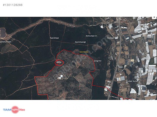 Yatırımlık - Ormana yakın villa imarlı konut arsası