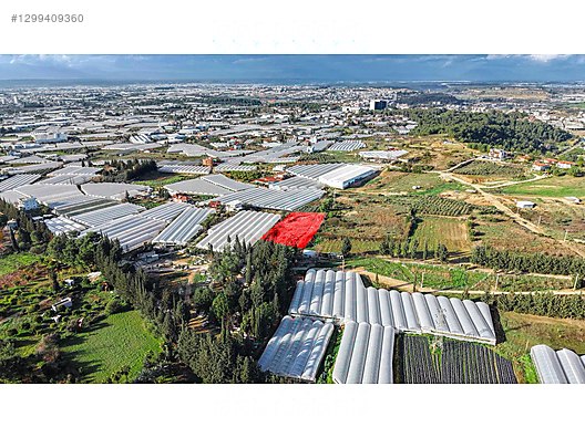 Aksu Hacıaliler Müstakil Tapulu Satılık Tarla