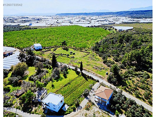 ТОПАЛЛЫ 9.582 М2 ДОРОГА ВОДА ЭЛЕКТРИЧЕСТВО 600 метров до дороги на Испарту