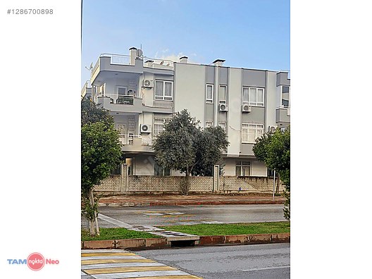 В ГЮЗЕЛЬОБА 3+1 Напротив русской школы