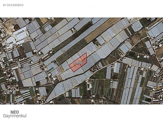 ЗЕМЕЛЬНЫЙ УЧАСТОК НА ПРОДАЖУ В КИРКДЖАМИ