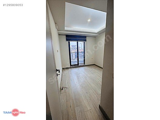 На проезжей части 1+1 в аренду