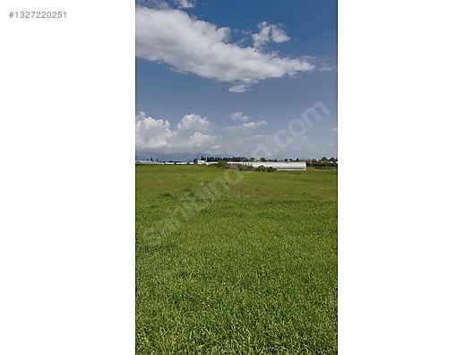 AKSU KURŞUNLUDA 23.756 M² DEV TARLA FIRSATI
