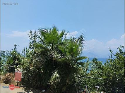 РЯДОМ С ОТЕЛЕМ ТАЛЬЯ, У САМОГО МОРЯ, С ПЛЯЖЕМ, УЛЬТРА ЛЮКС КВАРТИРА