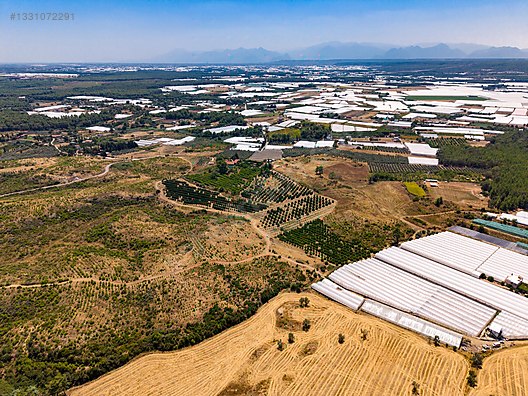 AKSU KURŞUNLU 6.979 M2 SATILIK MÜSTAKİL BAHÇE