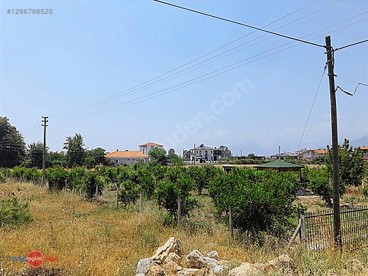 Yeniköy Kırkköz 625 m2 müstakil tapu